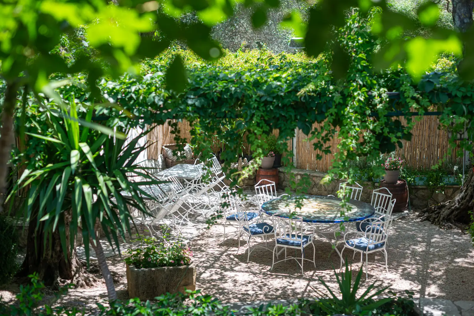 The garden of the Marović summer house