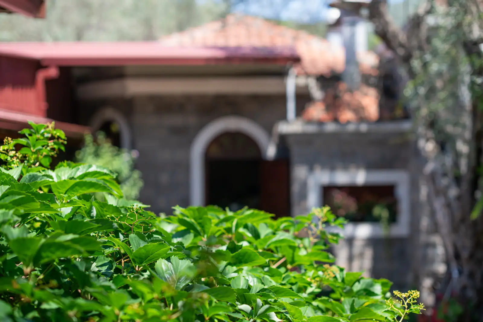 The stone house with a red roof through greenery