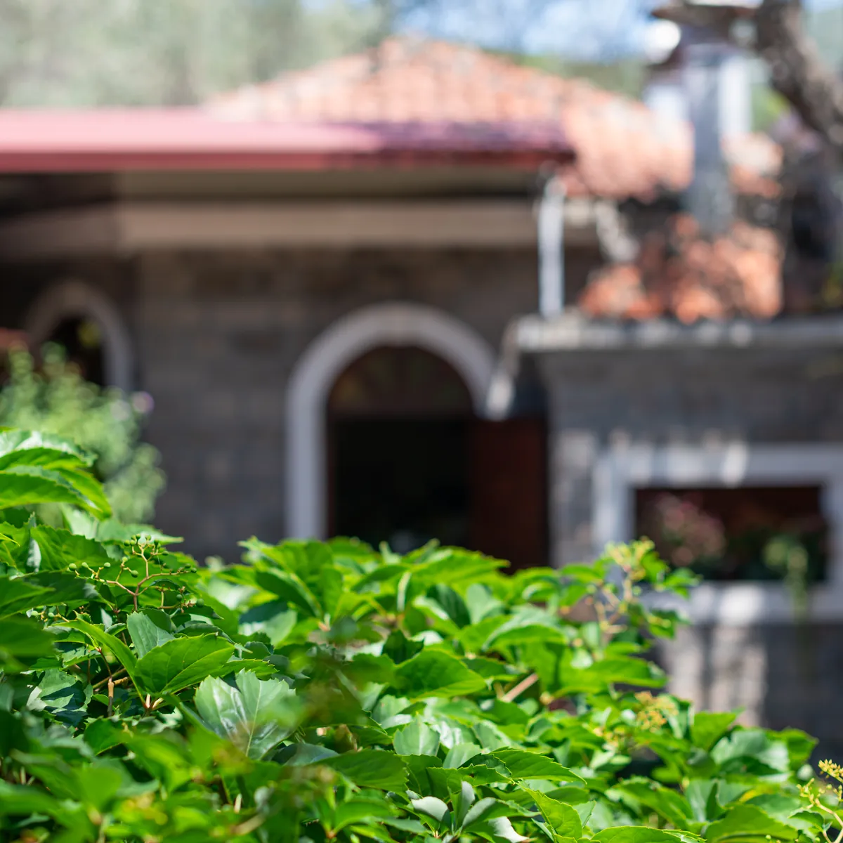 Marović stone house surrounded by greenery
