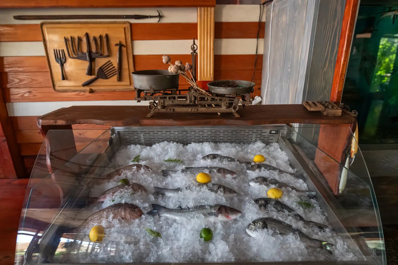 Fresh fish on ice, the day's catch