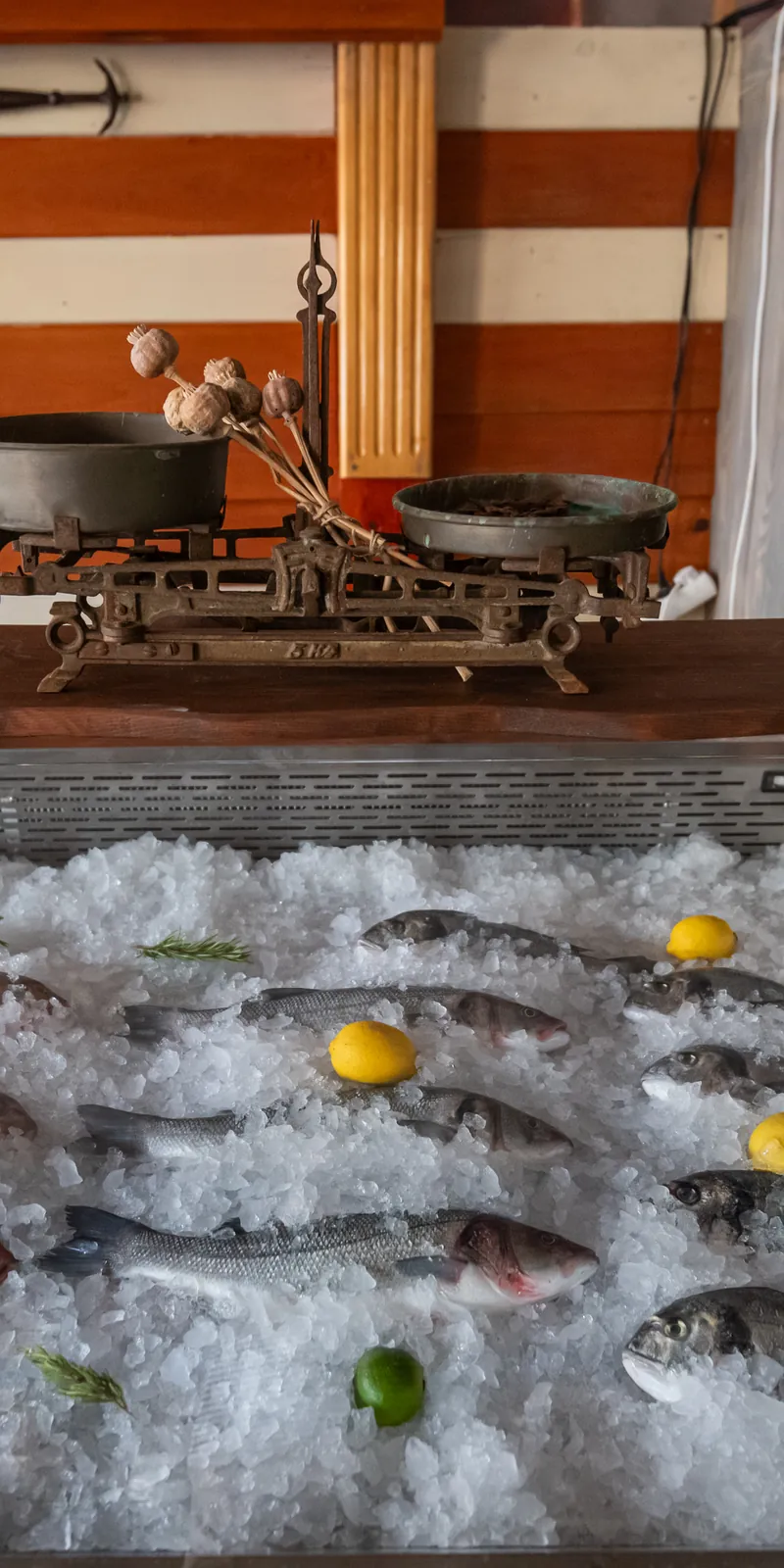 Fresh fish and seafood, Mediterranean cuisine