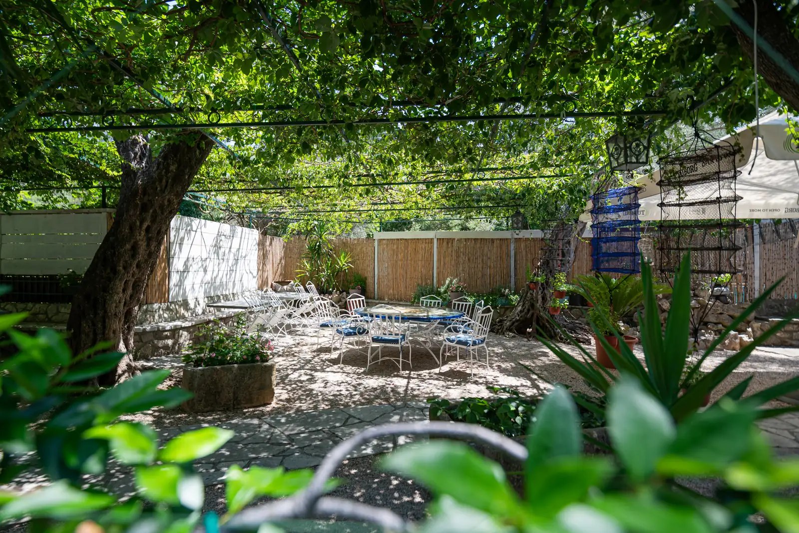 A view through the garden greenery